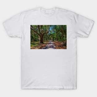 Cumberland Island National Seashore T-Shirt